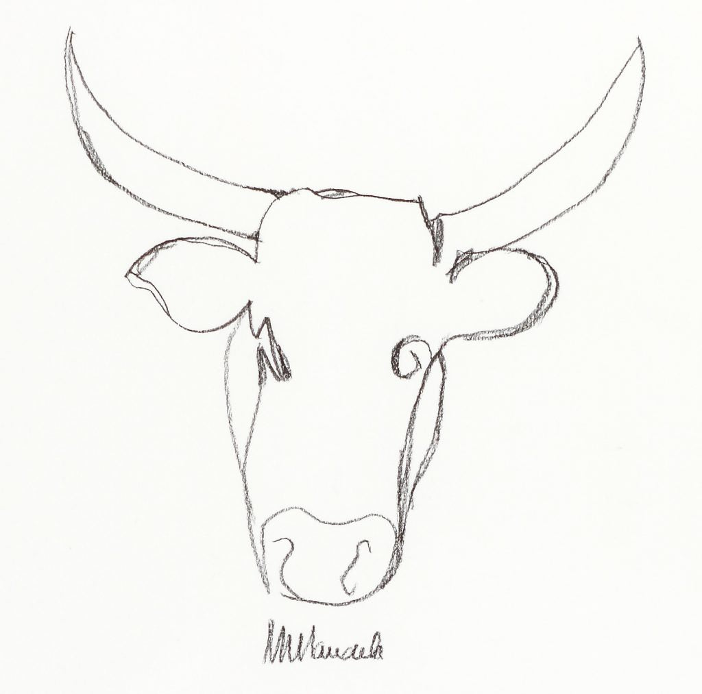 Nelson Mandela: Nguni Bull II